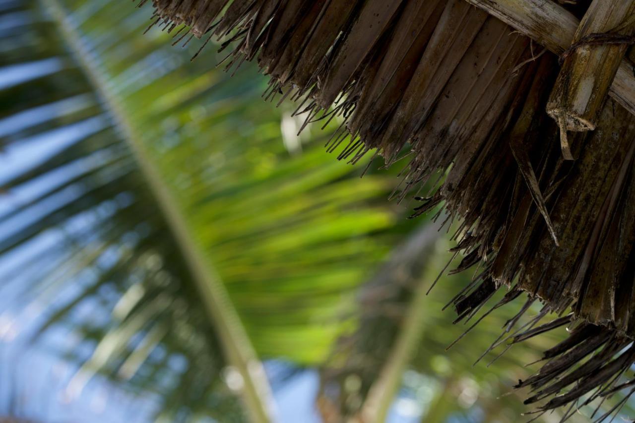 The Mida Creek Hotel Watamu Exterior photo